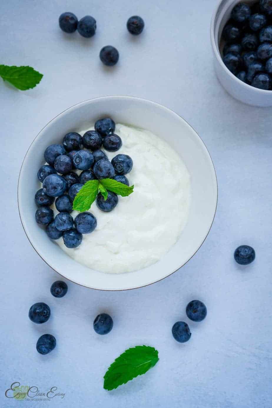 instant pot cold start greek yogurt with blueberries in a small white bowl.