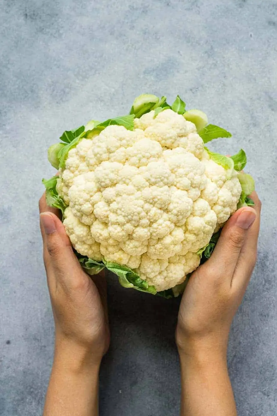 holding a head of cauliflower with both hands.