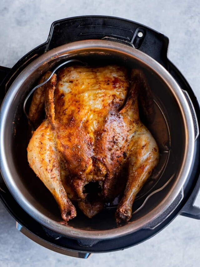 Whole Chicken Instant Pot Air Fryer Lid