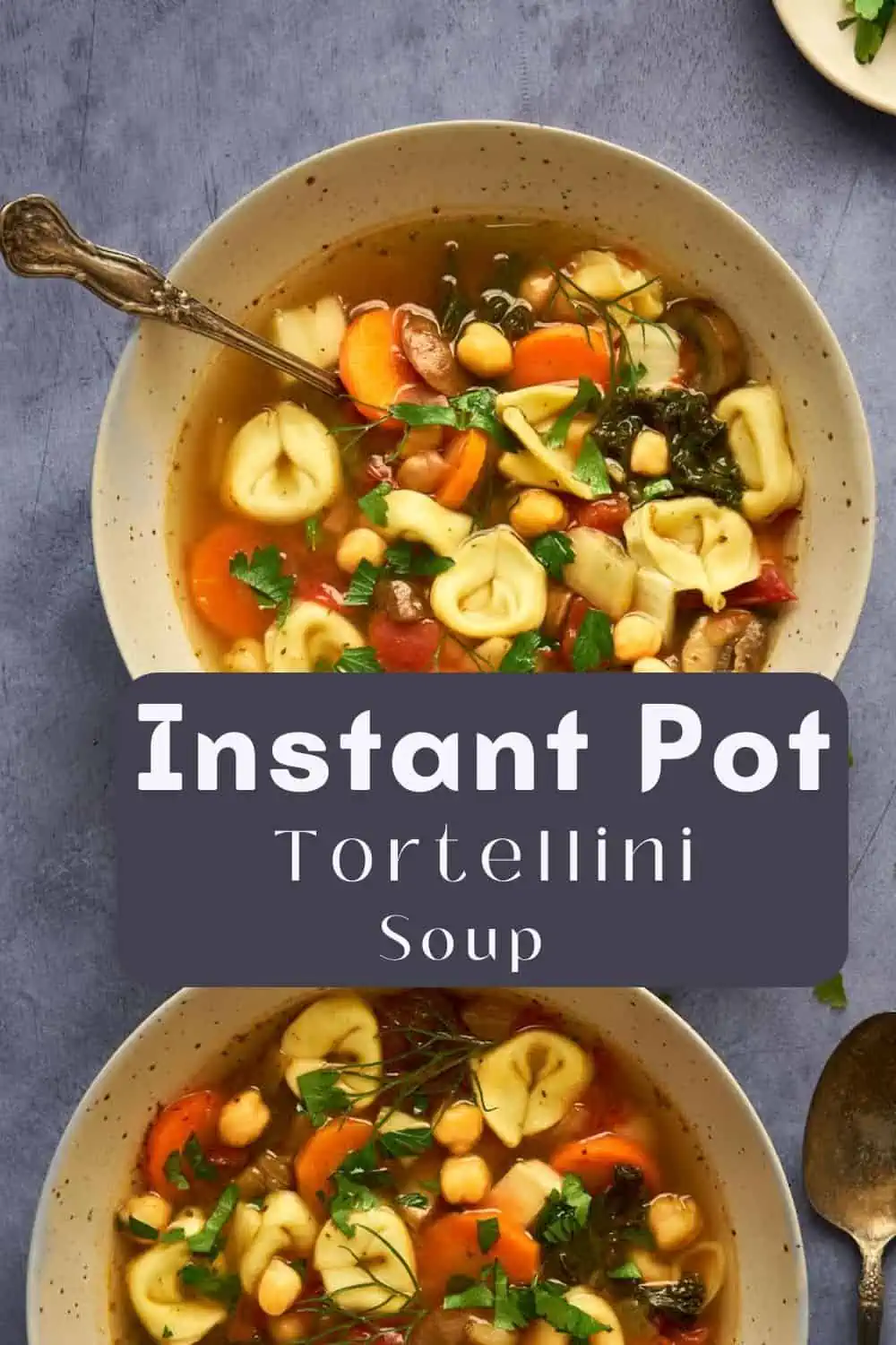 Instant Pot Vegetable Tortellini Soup: A delicious and flavorful vegetable tortellini soup made in the Instant Pot. Packed with fresh vegetables and filled with the amazing flavors of the tortellini, this soup is a perfect comfort food option. 